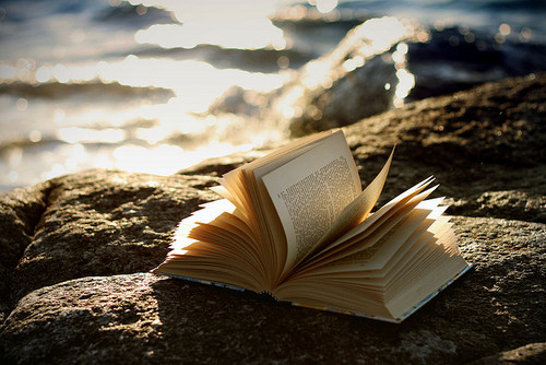 Perfis no Instagram para amantes de livros + Desculpas