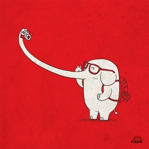 Auto-Retrato de Elefante / Imagens Fofas para Tumblr, We Heart it, etc
