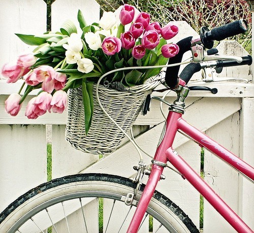 Flores na Bicicleta II / Imagens Fofas para Tumblr, We Heart it, etc