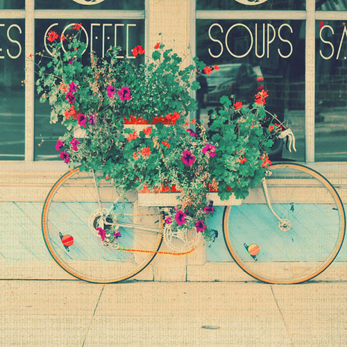 Bicicleta Flores III / Imagens Fofas para Tumblr, We Heart it, etc