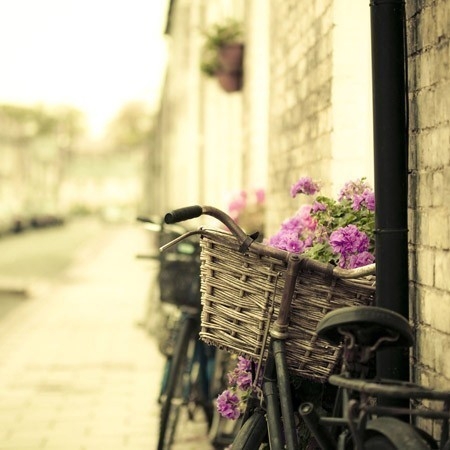 Bicicleta & Flores