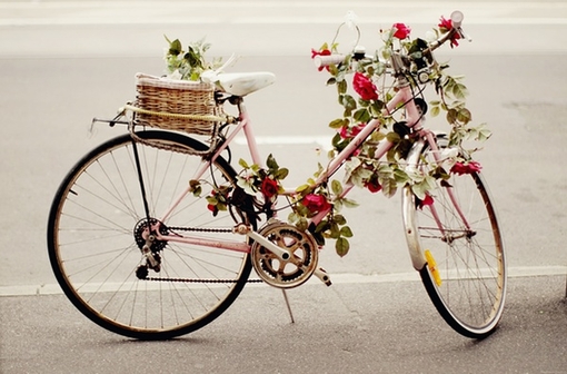 Bicicleta Florida / Imagens Fofas para Tumblr, We Heart it, etc