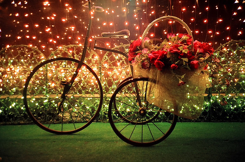 Bicicleta / Imagens Fofas para Tumblr, We Heart it, etc