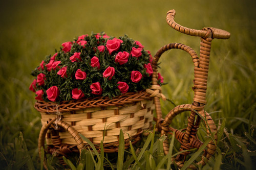 Bicicletinha com flores / Imagens Fofas para Tumblr, We Heart it, etc