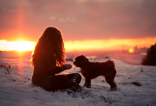 Brincando com cachorrinho na neve / Imagens Fofas para Tumblr, We Heart it, etc