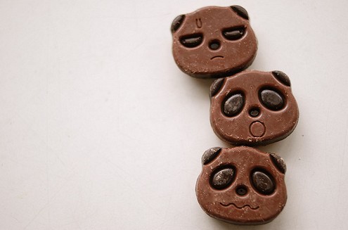 Chocolates de Ursinhos / Imagens Fofas para Tumblr, We Heart it, etc