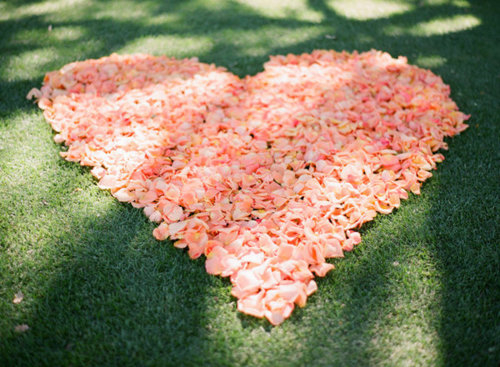 Coração florido / Imagens Fofas para Tumblr, We Heart it, etc