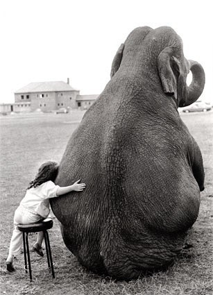 A menina e o elefante / Imagens Fofas para Tumblr, We Heart it, etc