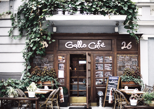 Gallo Café / Imagens Fofas para Tumblr, We Heart it, etc