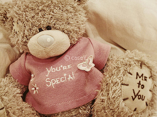 Urso You are Special / Imagens Fofas para Tumblr, We Heart it, etc