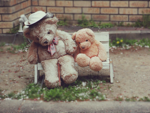 Ursos Sentados / Imagens Fofas para Tumblr, We Heart it, etc