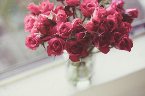Vaso com rosas / Imagens Fofas para Tumblr, We Heart it, etc