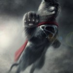 Super Gatos 5