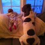 Amizade entre bebes e cachorros 3