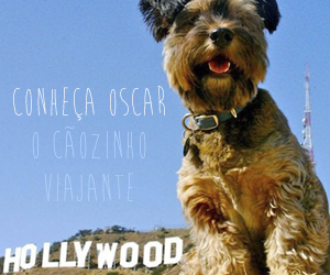 Oscar, o cachorrinho viajante