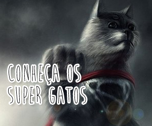 Conheça os Super Gatos